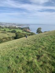 Teignmouth and Holcombe in the distance ...